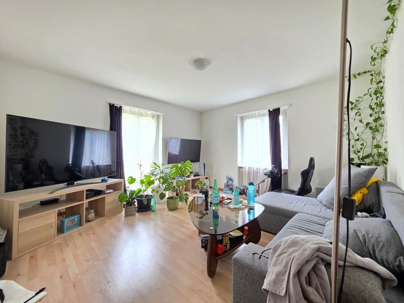 Gemütliche 3-Zimmer-Wohnung in Trimbach (10)