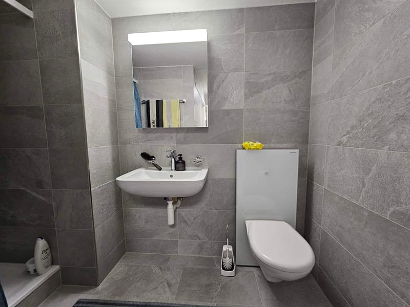 Charmante 2.5-Zimmer-Wohnung in Uznach (4)