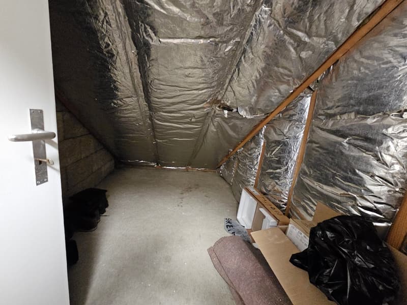 Charmante 2.5-Zimmer-Wohnung in Uznach (10)