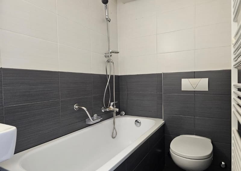 Moderne 4.5 ZWG an zentraler Wohnlage zu vermieten (12)