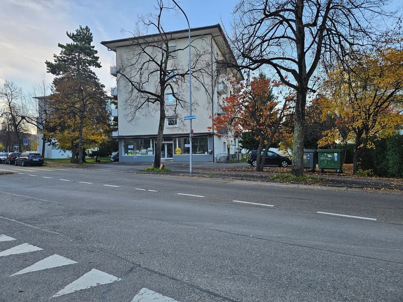 Gepflegte 1-Zimmerwohnung - perfekt für Singles! (1)