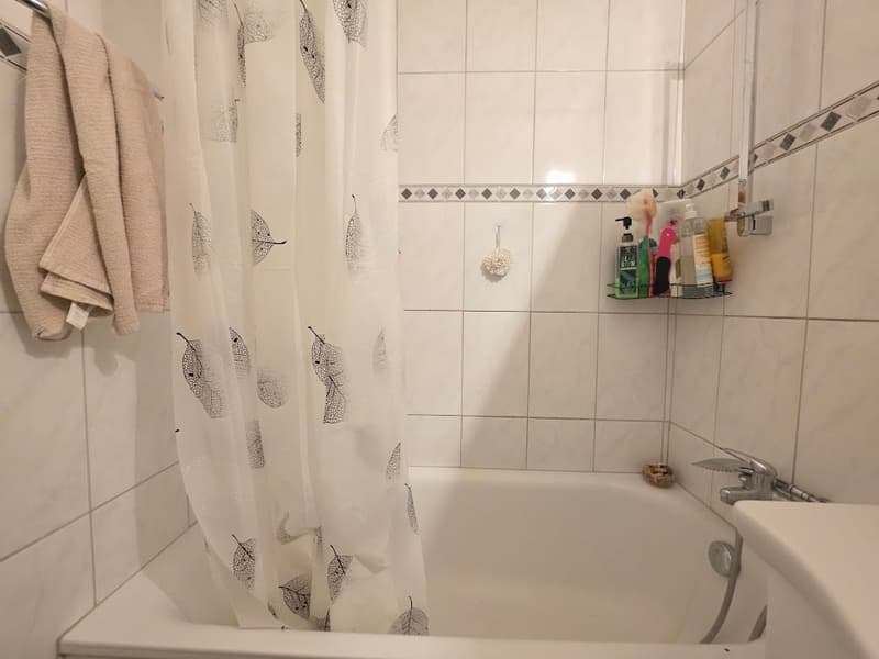 Moderne, grosszügige 3-Zimmer-Wohnung in zentraler Lage! (5)