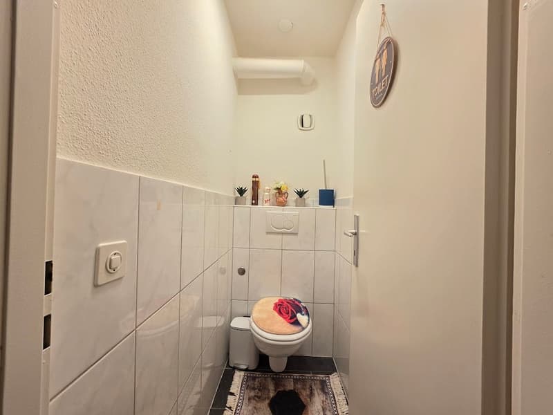 Moderne, grosszügige 3-Zimmer-Wohnung in zentraler Lage! (6)