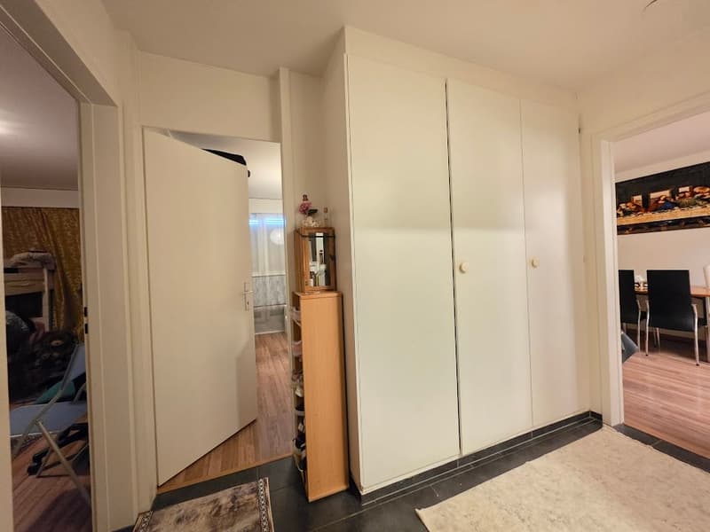 Moderne, grosszügige 3-Zimmer-Wohnung in zentraler Lage! (11)