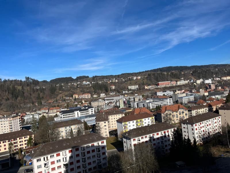 Bien entretenu appartement de 2 pièces, idéal pour les célibataires ou les couples! (2)