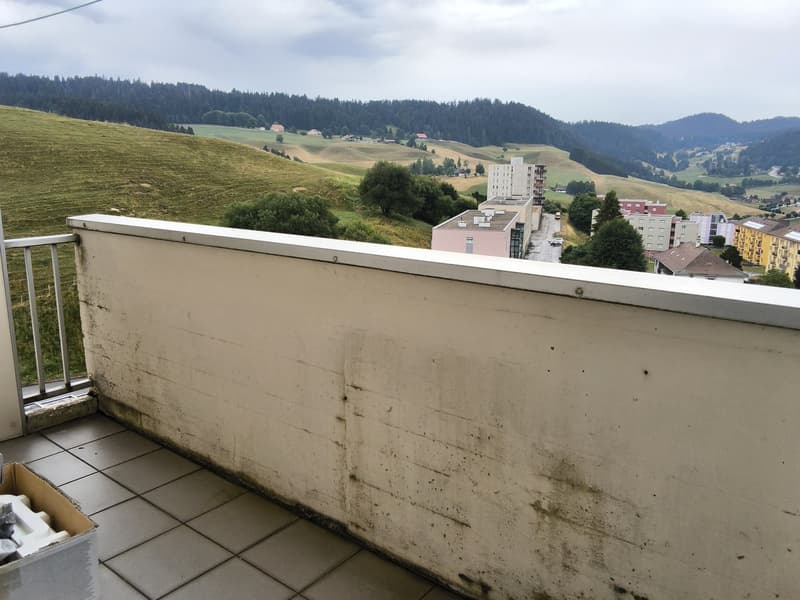 Bien entretenu appartement de 2 pièces, idéal pour les célibataires ou les couples! (12)