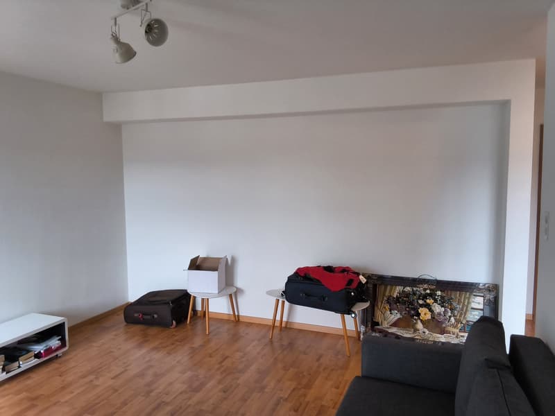 Bien entretenu appartement de 2 pièces, idéal pour les célibataires ou les couples! (9)