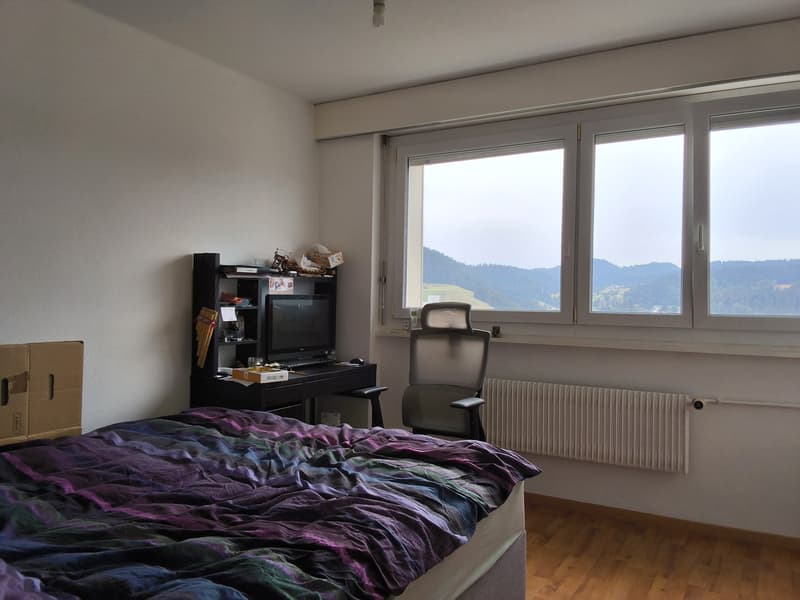 Bien entretenu appartement de 2 pièces, idéal pour les célibataires ou les couples! (10)