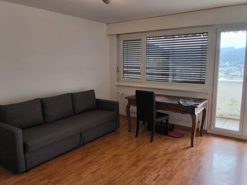 Bien entretenu appartement de 2 pièces, idéal pour les célibataires ou les couples! (7)