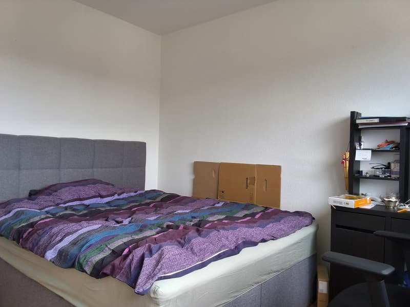 Bien entretenu appartement de 2 pièces, idéal pour les célibataires ou les couples! (11)