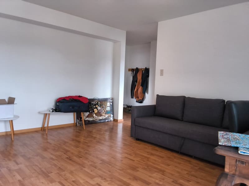 Bien entretenu appartement de 2 pièces, idéal pour les célibataires ou les couples! (8)