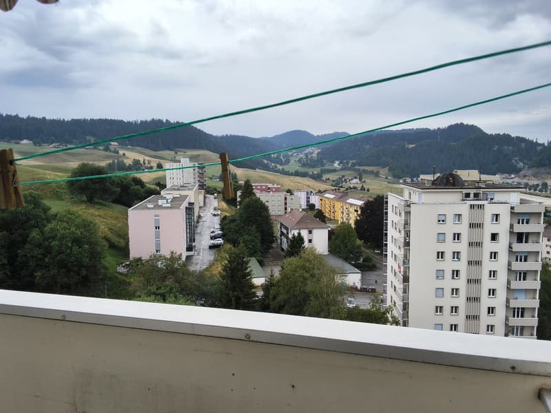 Bien entretenu appartement de 2 pièces, idéal pour les célibataires ou les couples! (13)