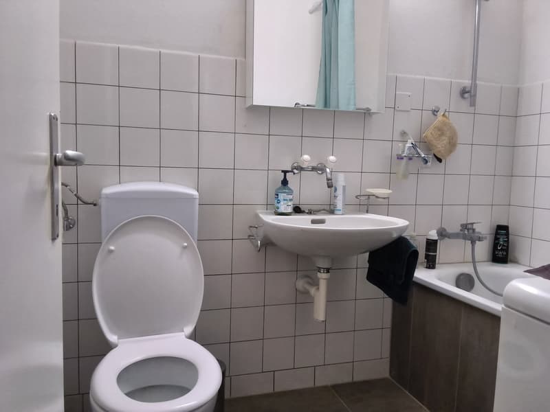 Bien entretenu appartement de 2 pièces, idéal pour les célibataires ou les couples! (6)