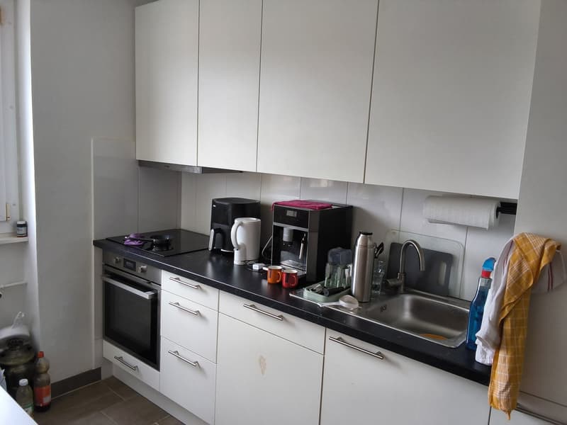 Bien entretenu appartement de 2 pièces, idéal pour les célibataires ou les couples! (3)