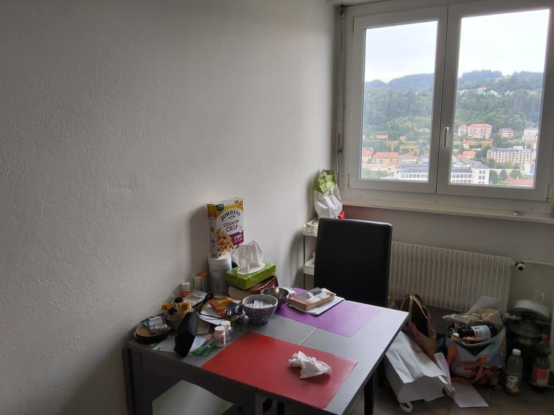 Bien entretenu appartement de 2 pièces, idéal pour les célibataires ou les couples! (5)