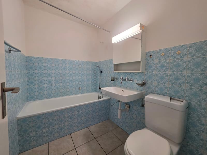Appartement bien entretenu de 2 pièces, idéal pour les célibataires ou les couples ! (4)