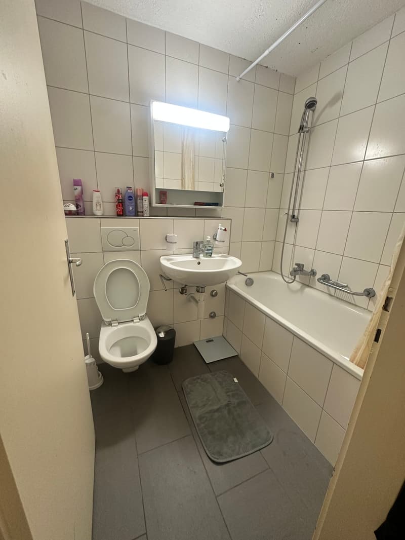 Gemütliche 2-Zimmer-Wohnung in Bettlach zu vermieten (16)