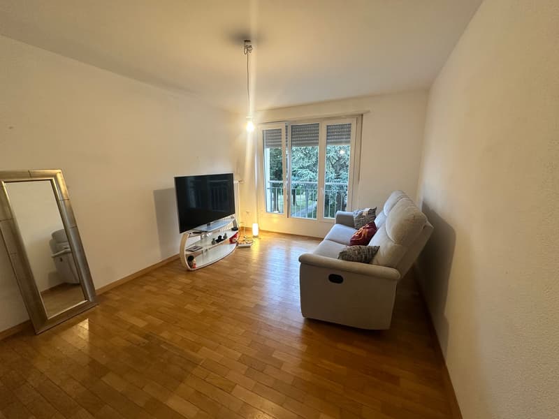 Gemütliche 2-Zimmer-Wohnung in Bettlach zu vermieten (8)