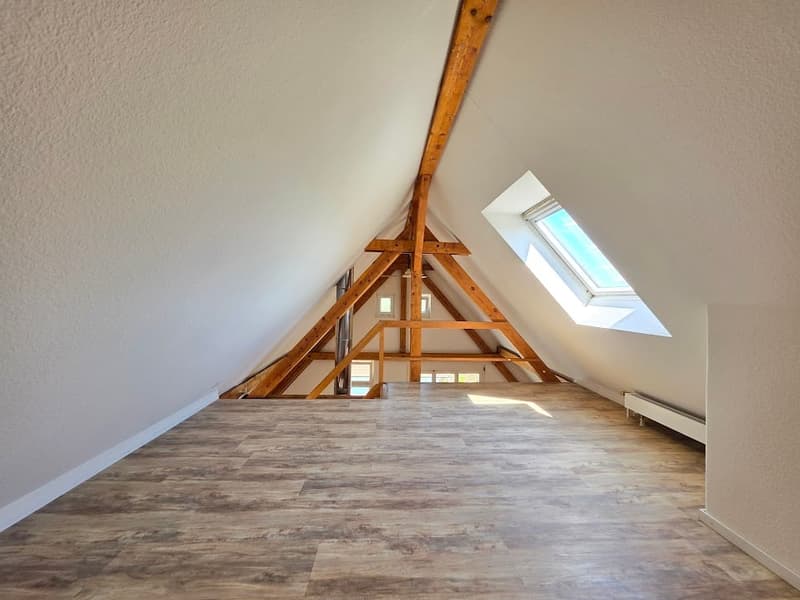 2.5 Maissonetwohnung in Trimbach zu vermieten! (14)