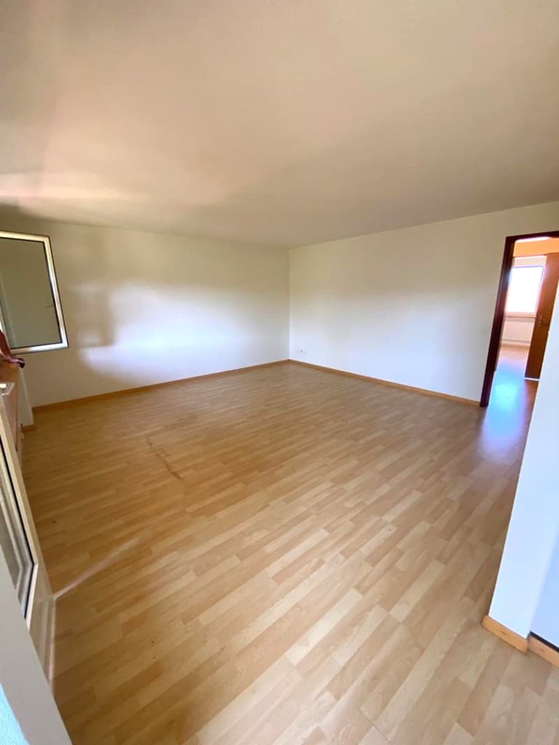 Helle 4.5-Zimmer-Wohnung im Erdgeschoss mit Balkonsitzplatz! (10)