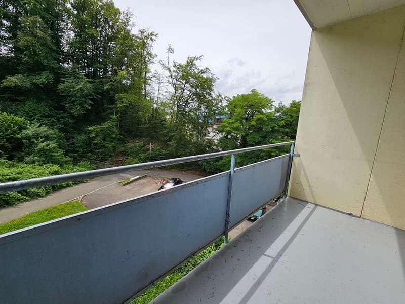 Gemütliche 3.5-Zimmerwohnung mit liebvollem Charme mit Balkon! (10)