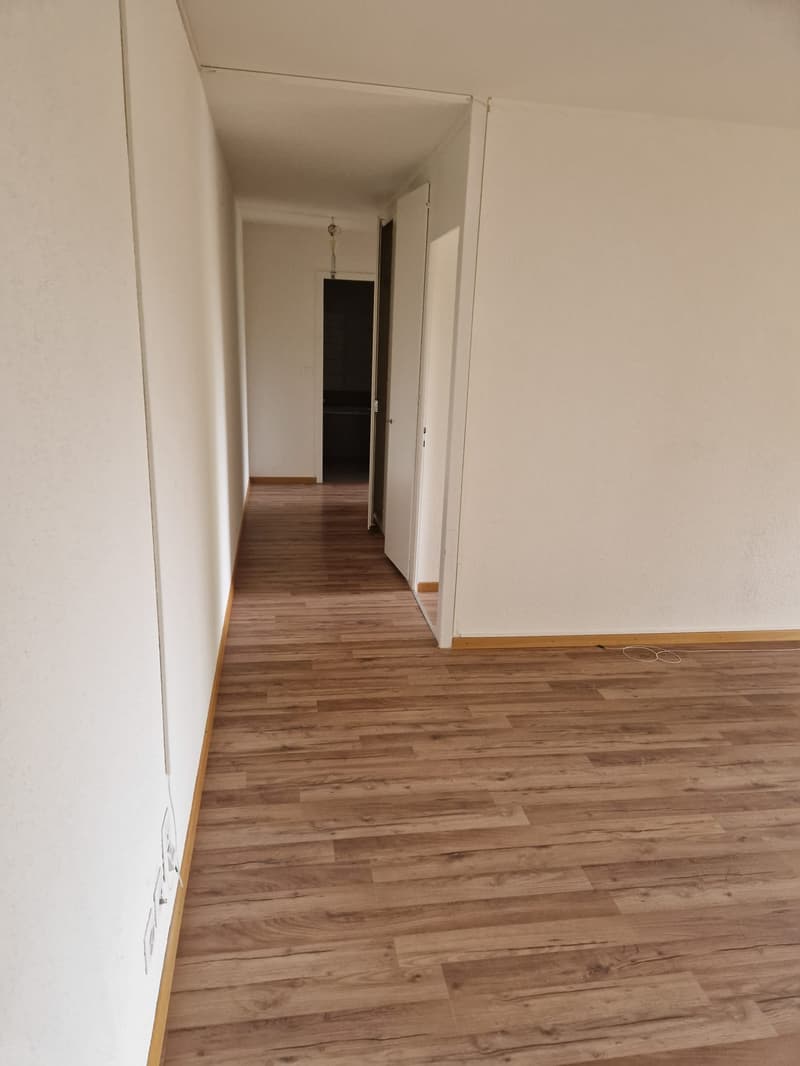 Teilsanierte Wohnung für Paare oder Kleinfamilie! (11)