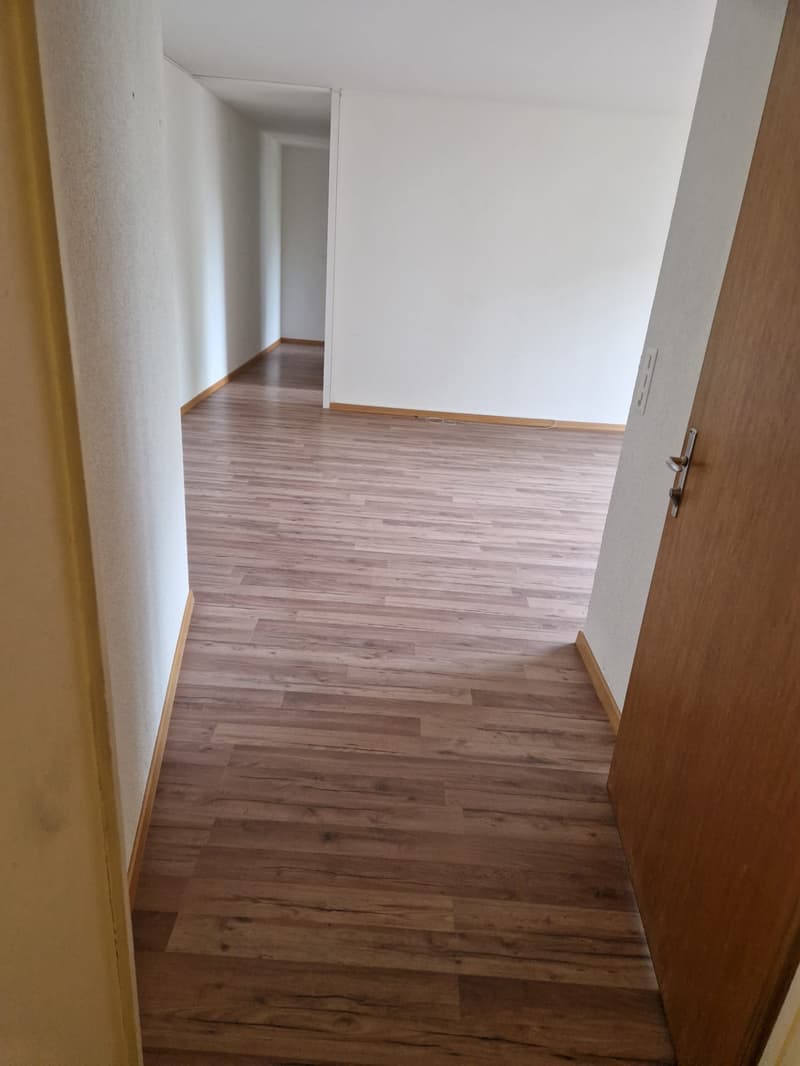 Teilsanierte Wohnung für Paare oder Kleinfamilie! (10)