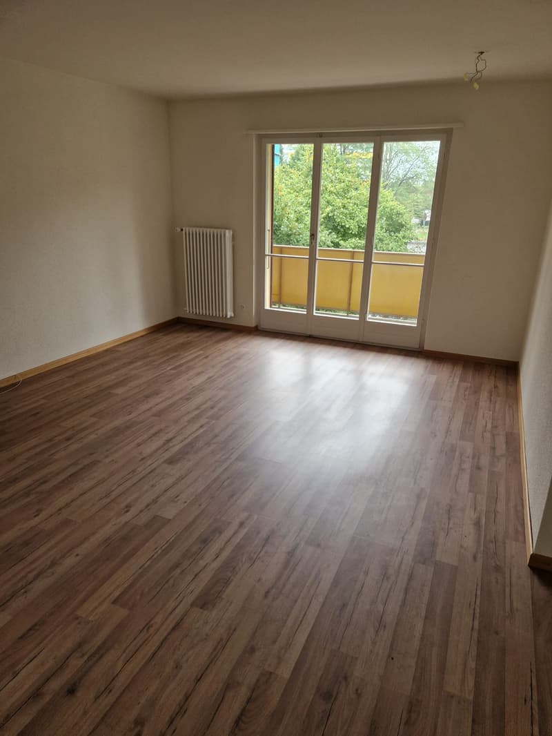 Teilsanierte Wohnung für Paare oder Kleinfamilie! (5)