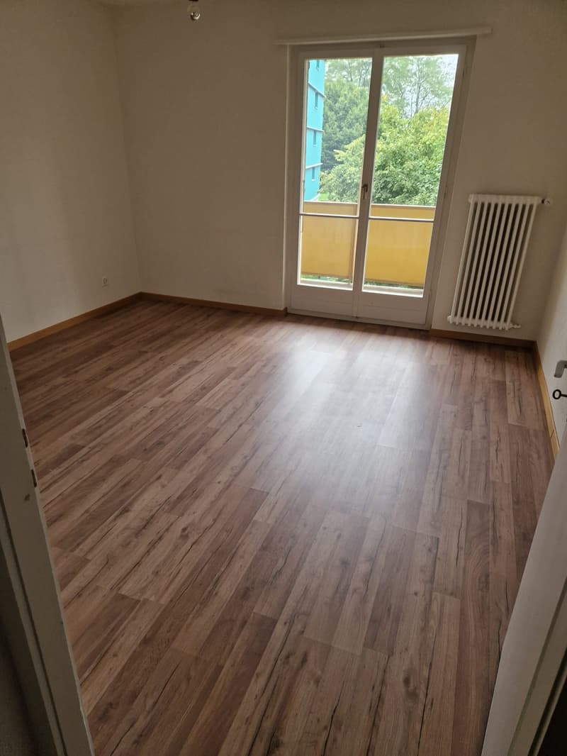 Teilsanierte Wohnung für Paare oder Kleinfamilie! (9)