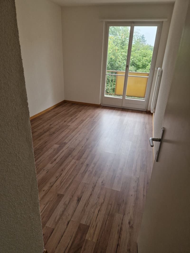 Teilsanierte Wohnung für Paare oder Kleinfamilie! (7)