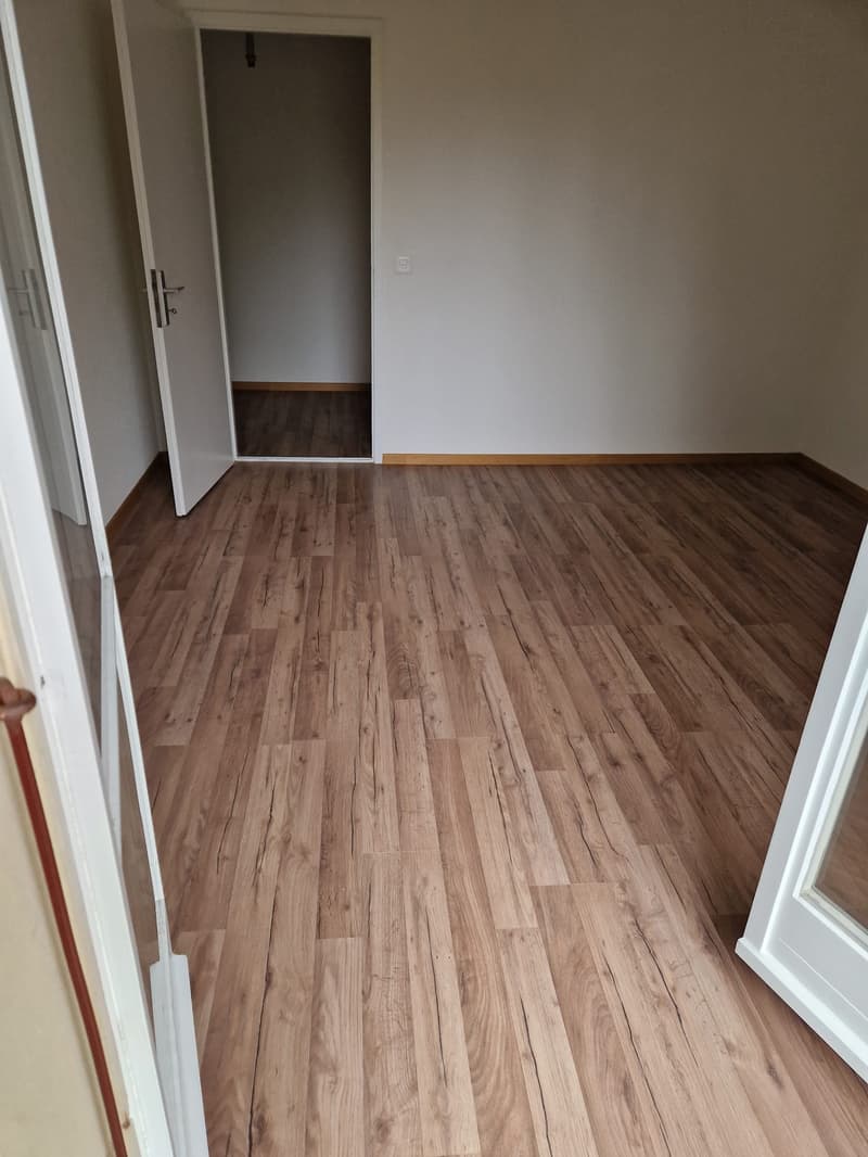 Teilsanierte Wohnung für Paare oder Kleinfamilie! (6)