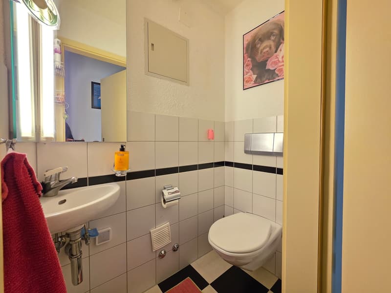 Charmante 3.5 Zimmer Wohnung mit Balkon (5)
