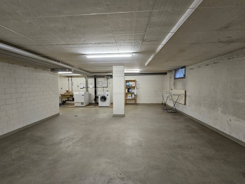 3.5-Zimmer-Balkon-Dachwohnung im Grünen! (16)