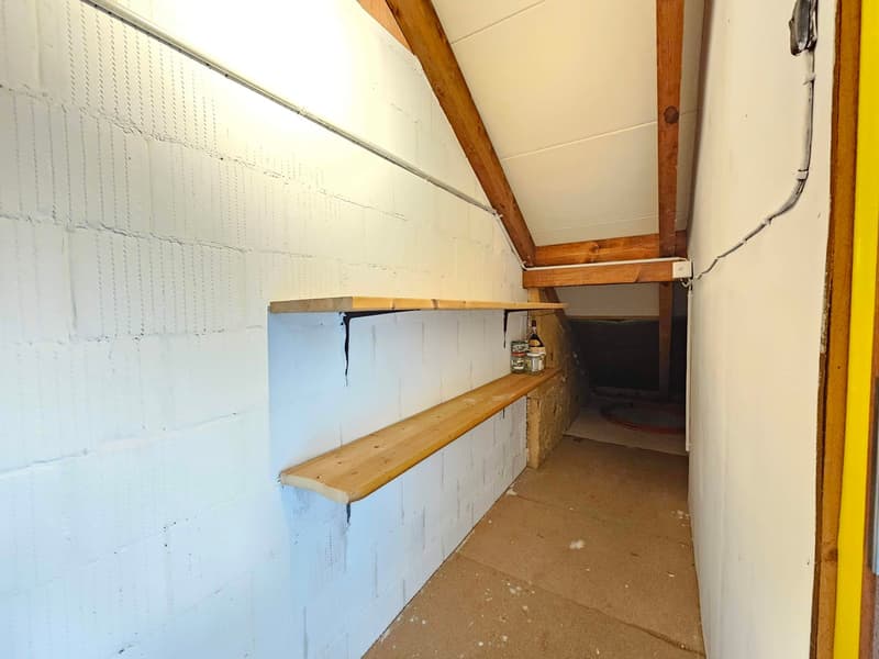 3.5-Zimmer-Balkon-Dachwohnung im Grünen! (12)