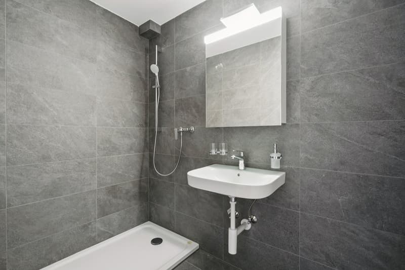 3.5-Zimmer-Wohnung in Arbon (8)