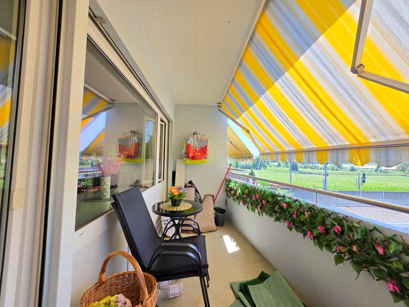 Charmante 3-Zimmer-Wohnung mit Balkon in Aarburg! (8)