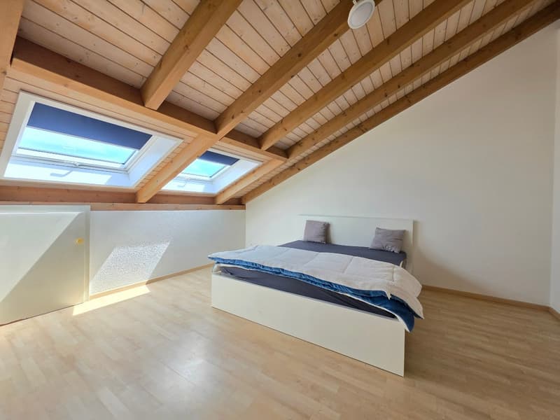 Heimelige, grossflächige Dachwohnung! (6)