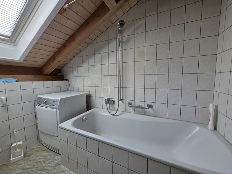 Heimelige, grossflächige Dachwohnung! (5)