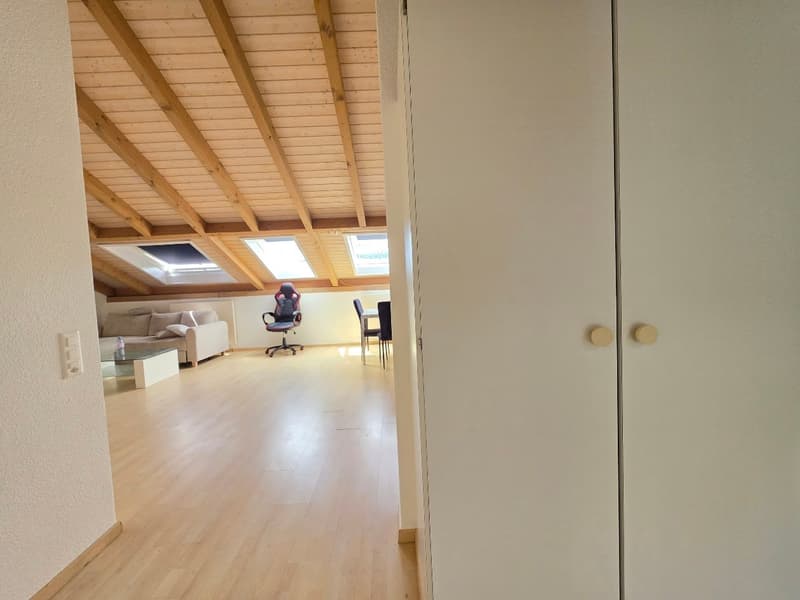 Heimelige, grossflächige Dachwohnung! (11)