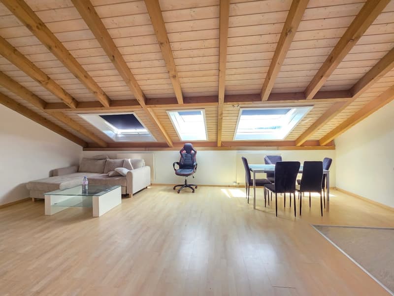 Heimelige, grossflächige Dachwohnung! (9)