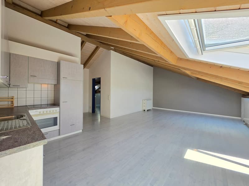 Heimelige, grossflächige Dachwohnung! (6)