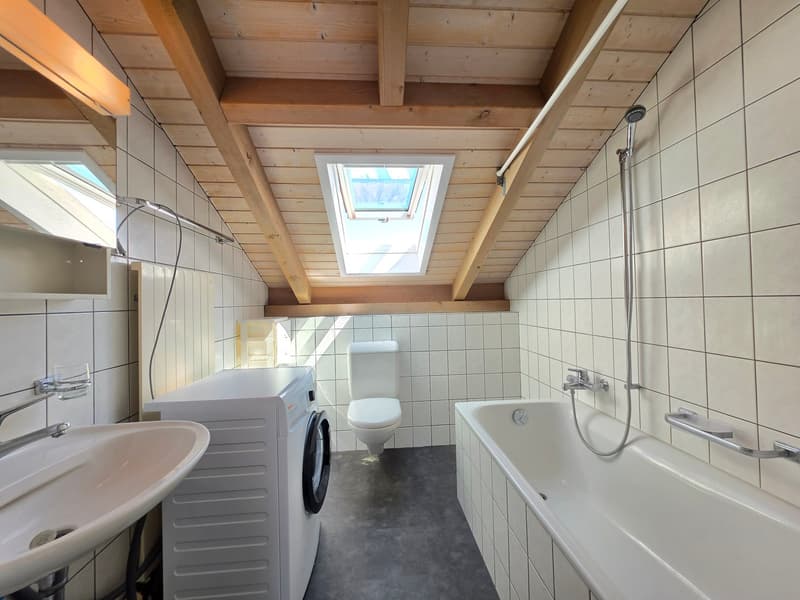 Heimelige, grossflächige Dachwohnung! (3)