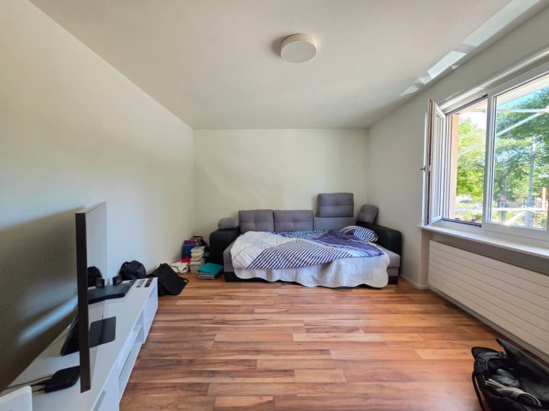 Befristete 3 Zimmer-Wohnung in Zürich mieten (7)