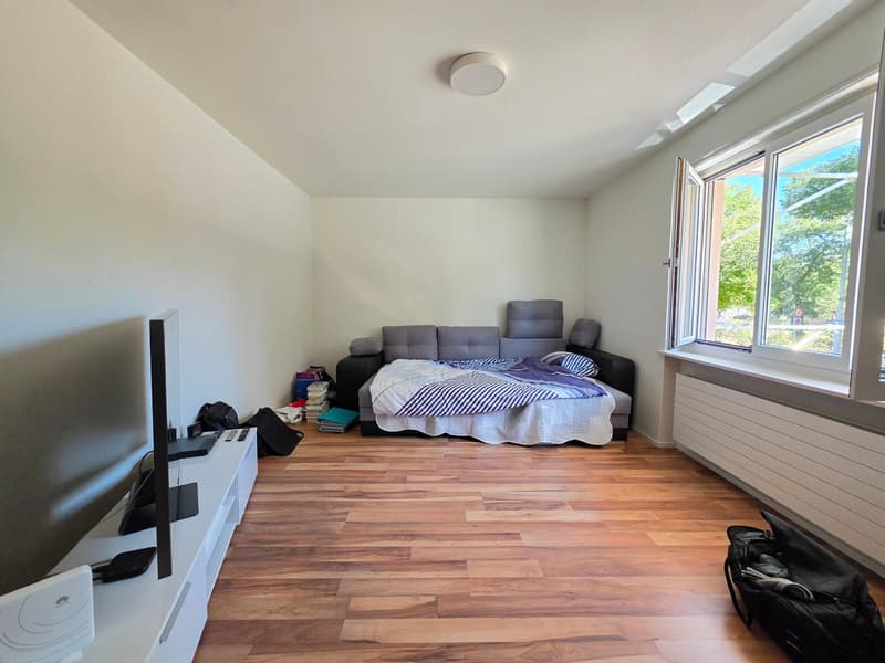 Befristete 3 Zimmer-Wohnung in Zürich mieten (8)