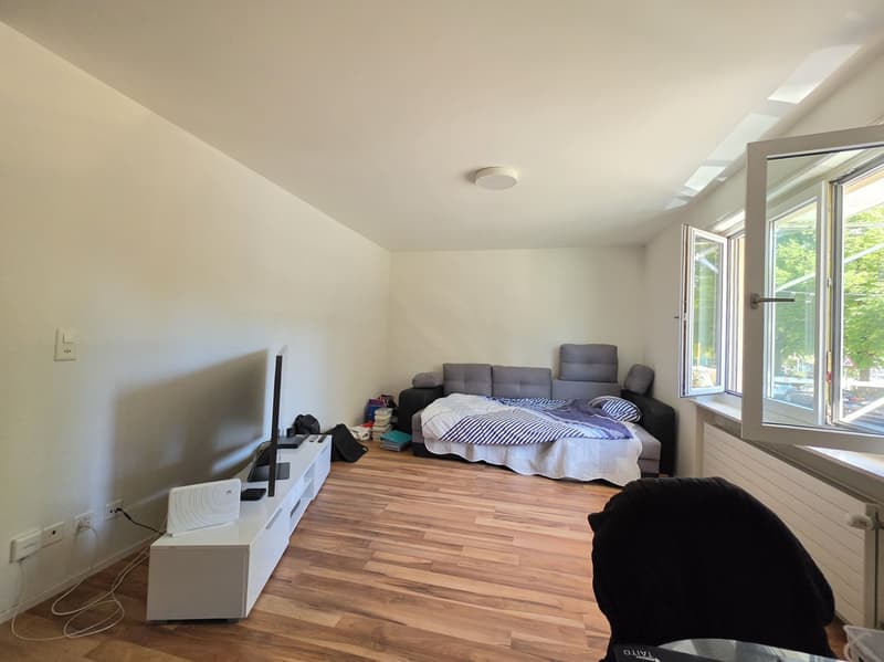 Befristete 3 Zimmer-Wohnung in Zürich mieten (10)