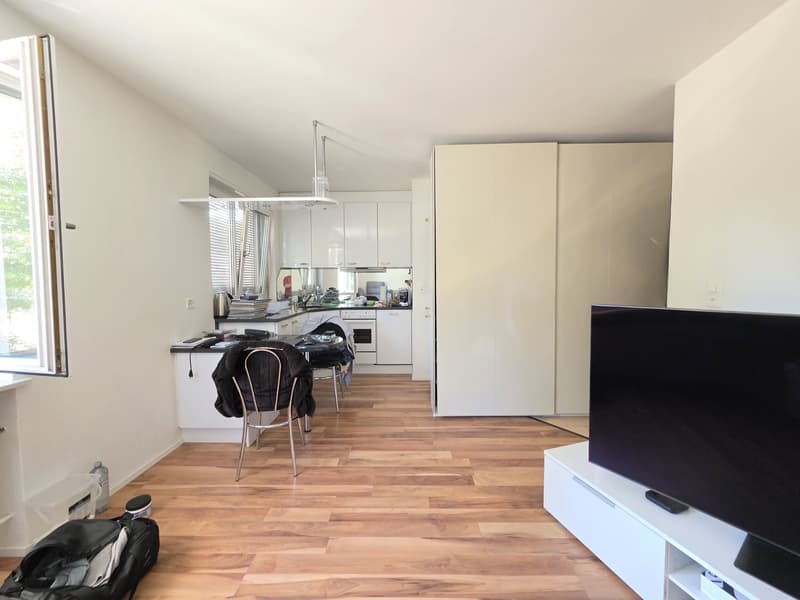 Befristete 3 Zimmer-Wohnung in Zürich mieten (6)