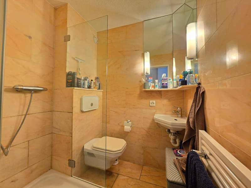 Befristete 3 Zimmer-Wohnung in Zürich mieten (11)
