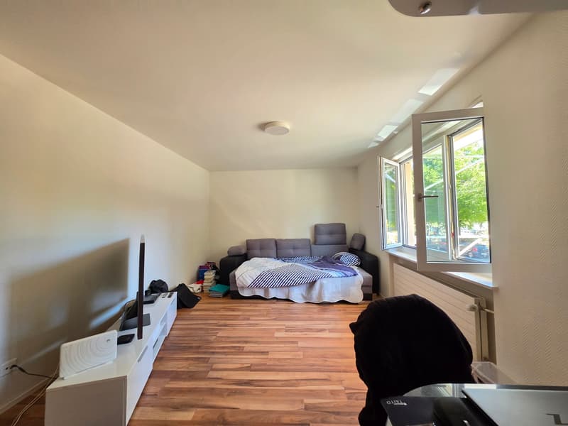 Befristete 3 Zimmer-Wohnung in Zürich mieten (9)