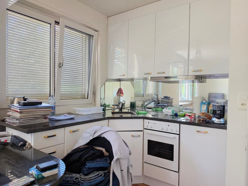 Befristete 3 Zimmer-Wohnung in Zürich mieten (4)