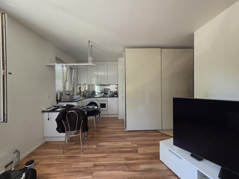 Befristete 3 Zimmer-Wohnung in Zürich mieten (5)